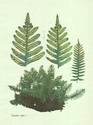 image test5