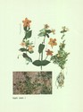 image test2