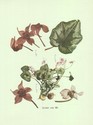 image test1