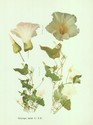 image test2