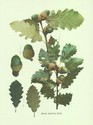 image test3