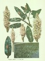 image test2