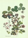 image test5