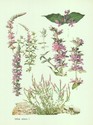 image test1