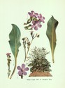 image test2