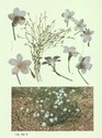 image test1