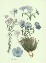 image test5