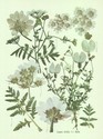 image test5