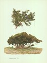 image test5