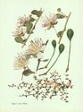 image test5