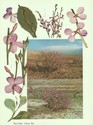 image test2