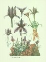 image test2