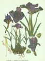 image test3
