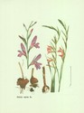 image test5