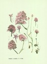 image test3