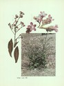 image test5