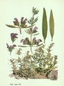 image test5