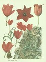 image test5
