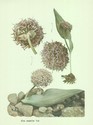 image test1