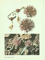 image test2