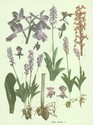 image test4