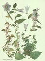 image test5