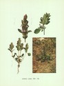 image test5