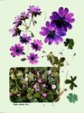 image test5