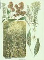 image test1