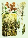 image test5