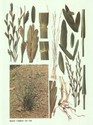 image test3