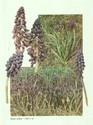image test5