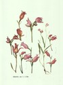 image test5