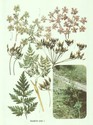 image test3