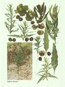 image test1