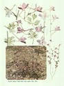 image test4