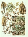 image test2