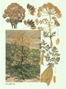 image test4