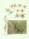 image test1