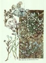 image test4