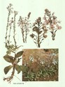 image test4