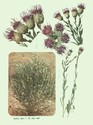 image test2