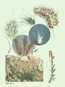 image test5