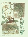 image test1