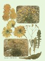 image test2
