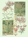 image test5