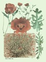 image test5