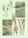 image test5