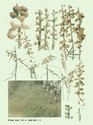 image test1