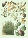 image test5